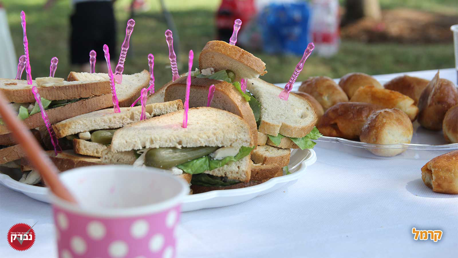 הקרנבל של טל  - 073-7586499