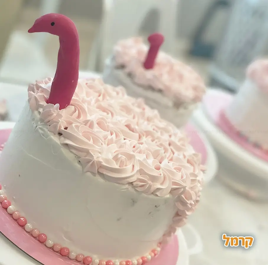 ביס אוף ארט - 073-7837589