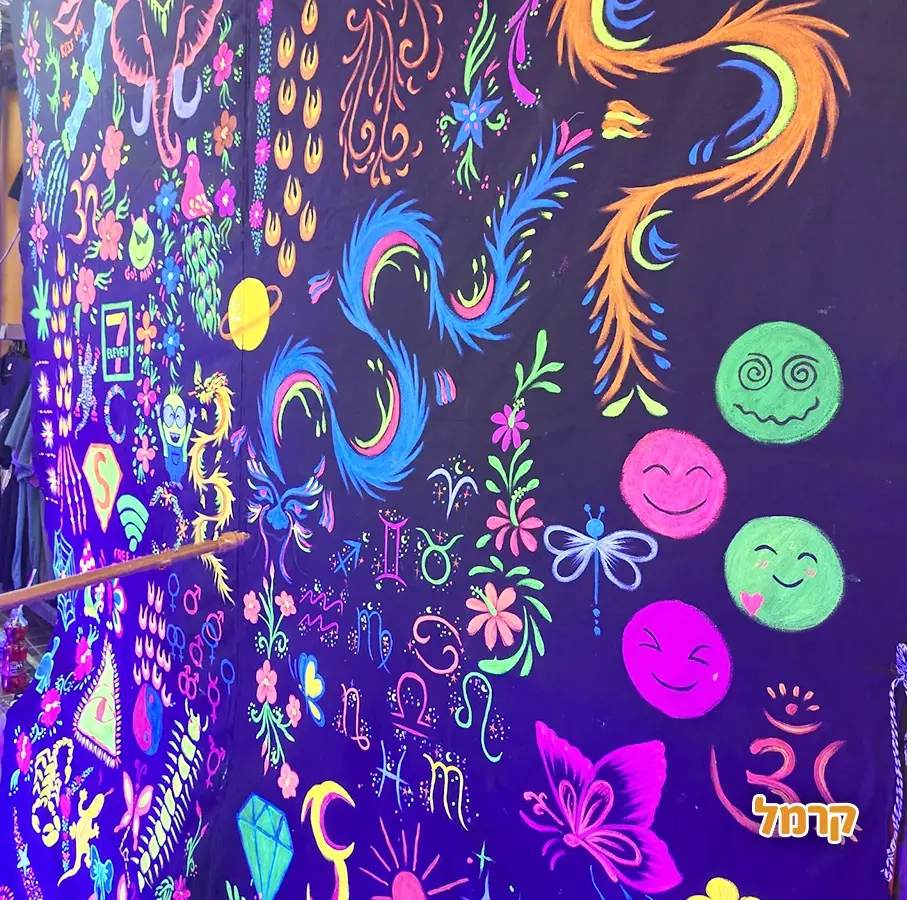 אלה בלונלה - 073-7599280