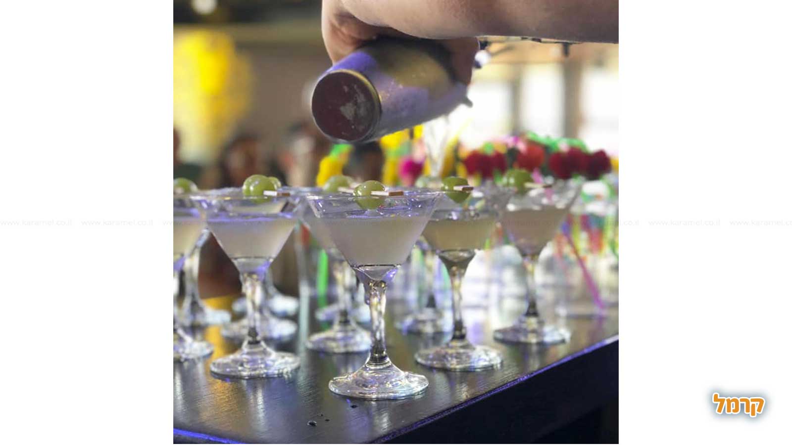 חגיגת קוקטיילים ומשחקי אלכוהול - 073-7025415