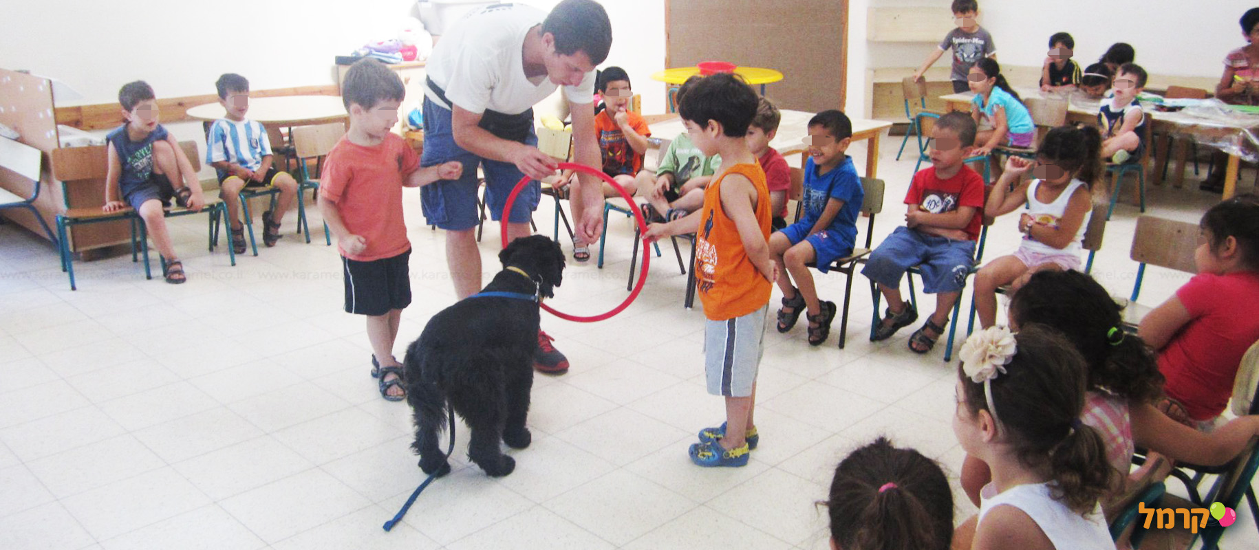 מכשכשים עם כלבים - 073-7026457