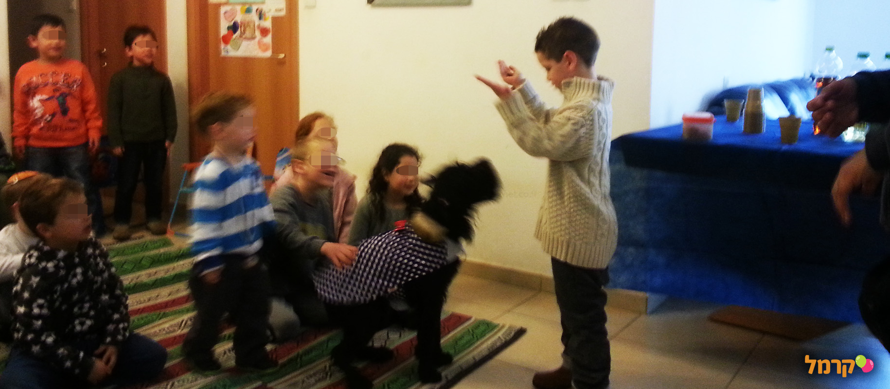 מכשכשים עם כלבים - 073-7026457