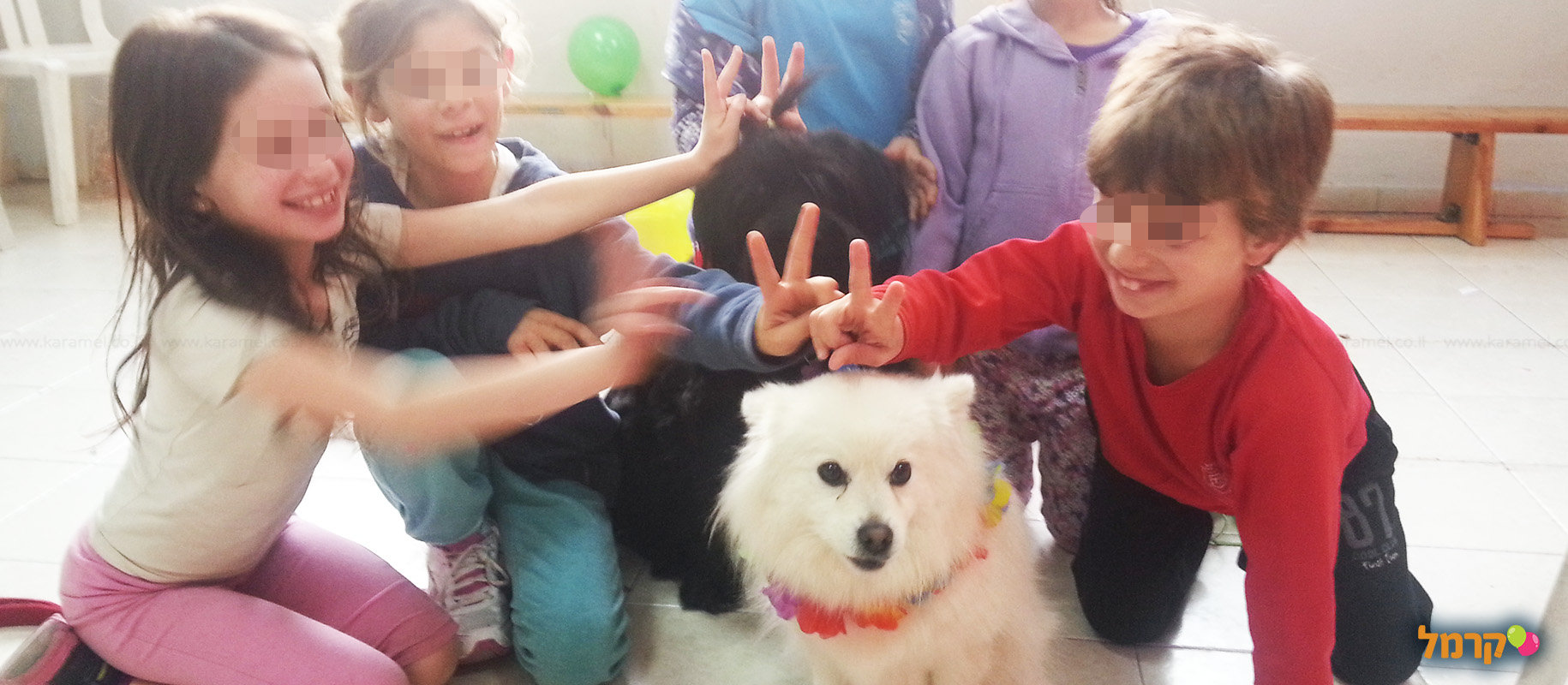 מכשכשים עם כלבים - 073-7026457