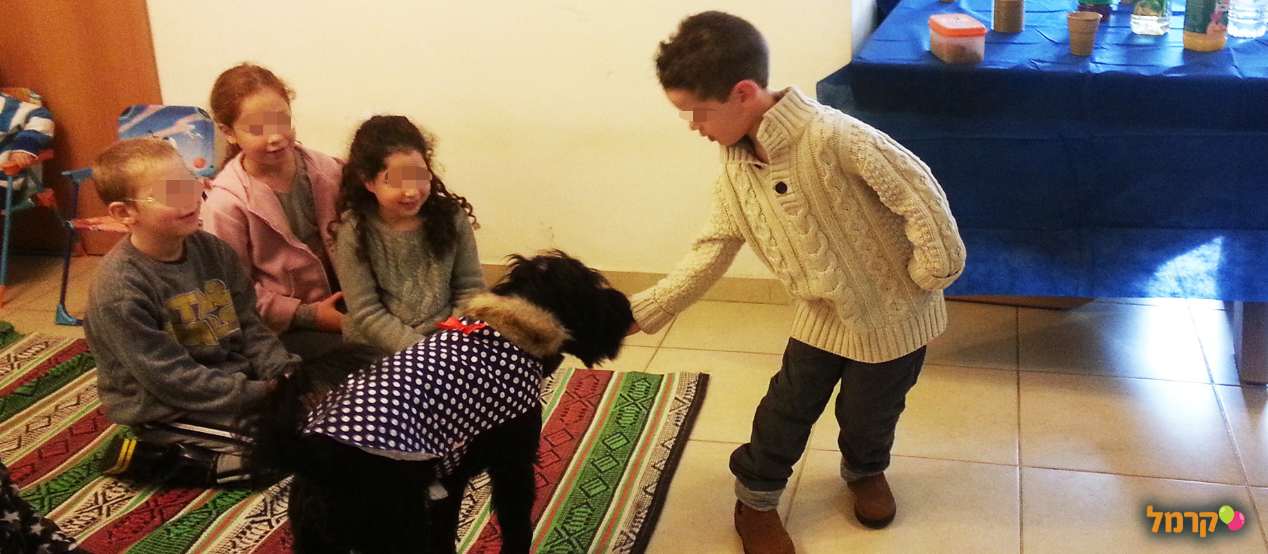 מכשכשים עם כלבים - 073-7026457