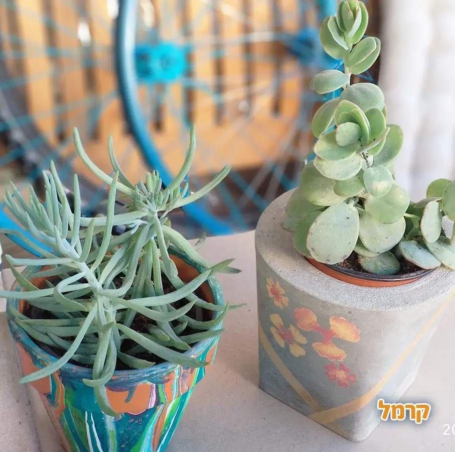 טל וחומר - סדנאות יצירה חוויתיות - 073-7026353