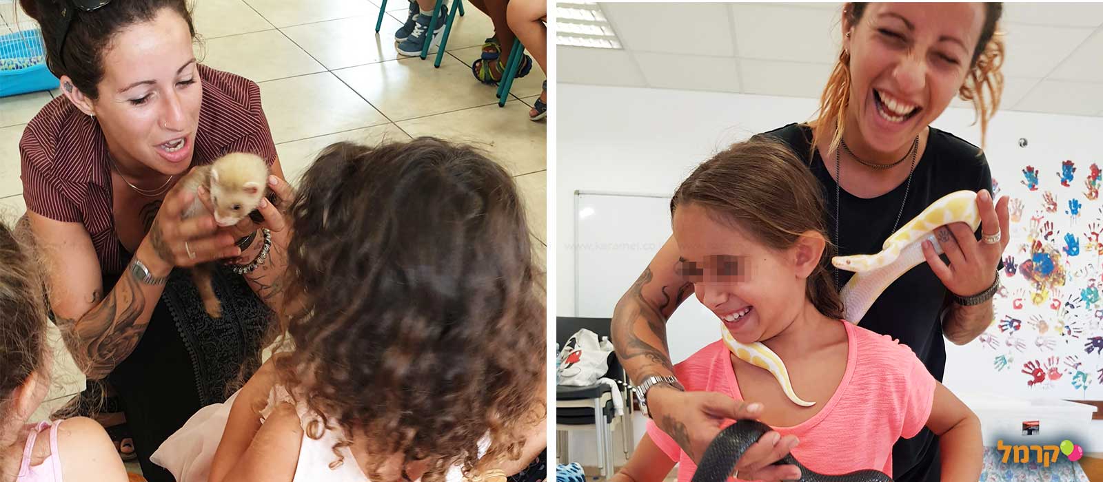 מאיה חיות וכיף - 073-7590510