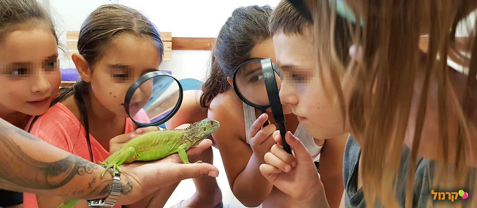 מאיה חיות וכיף - 073-7590510