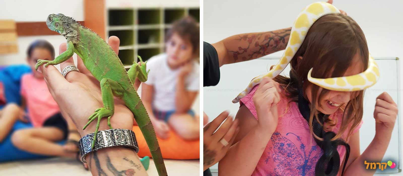 מאיה חיות וכיף - 073-7590510