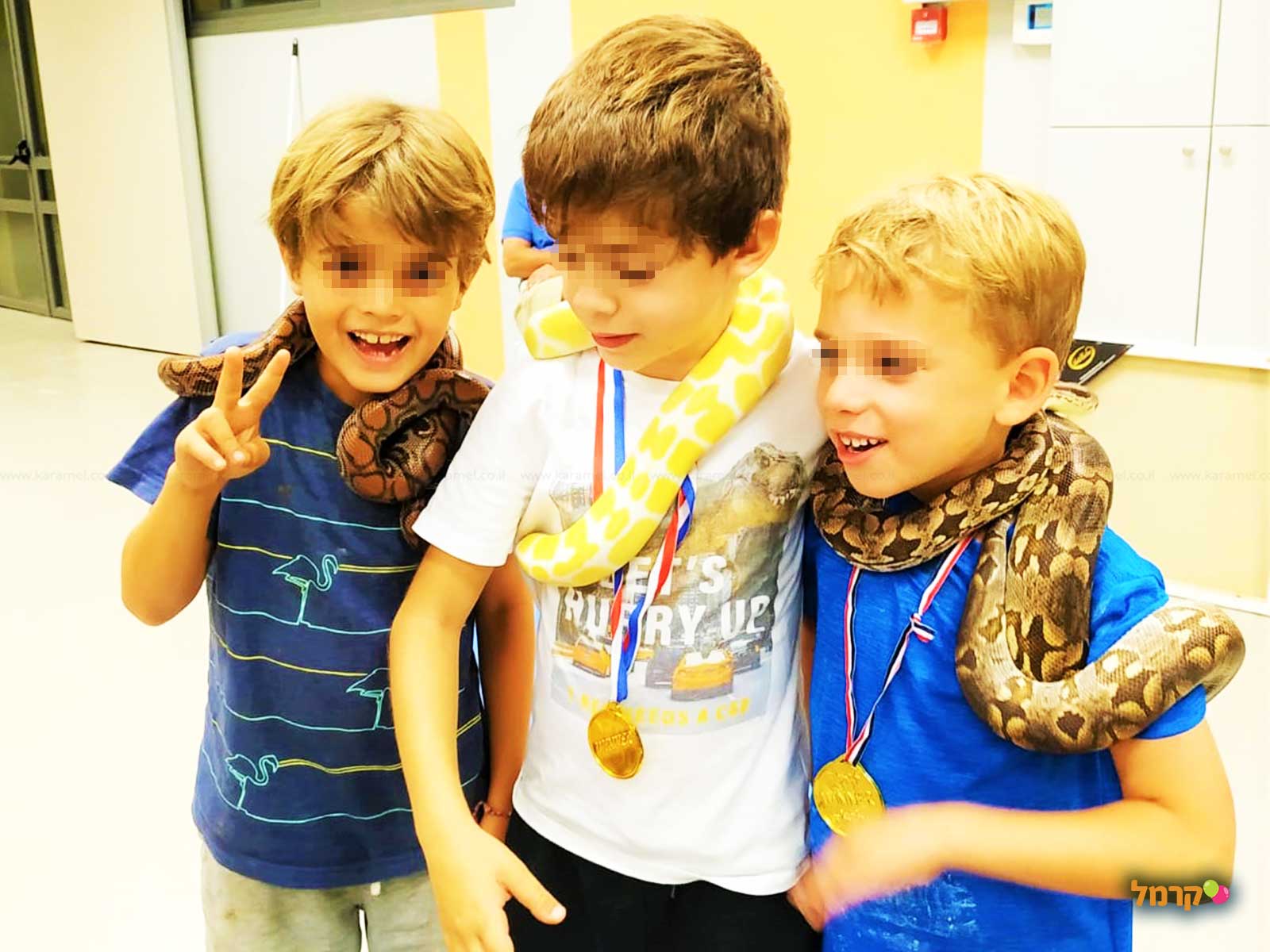 מאיה חיות וכיף - 073-7590510