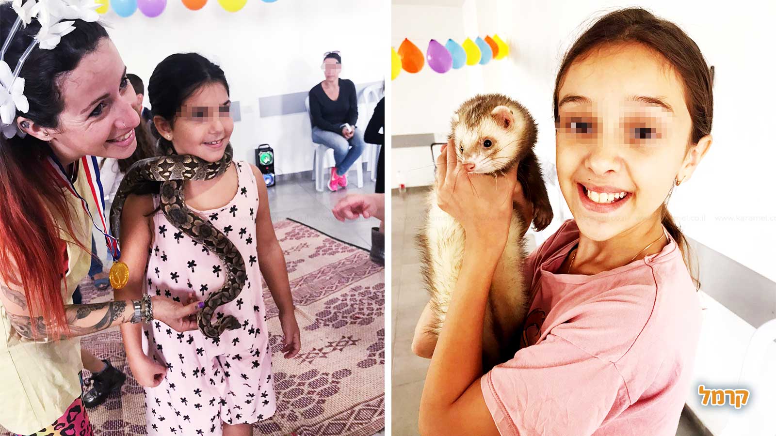 מאיה חיות וכיף - 073-7590510