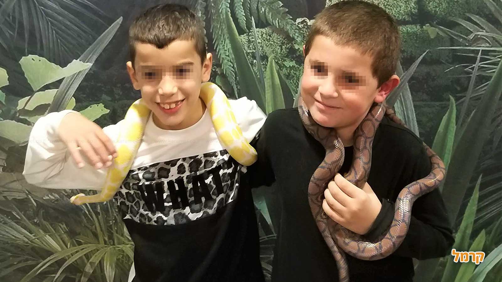 מאיה חיות וכיף - 073-7590510