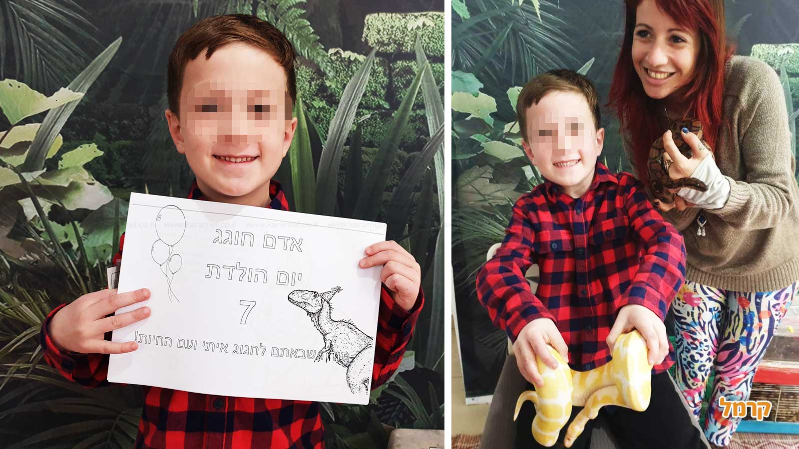 מאיה חיות וכיף - 073-7590510