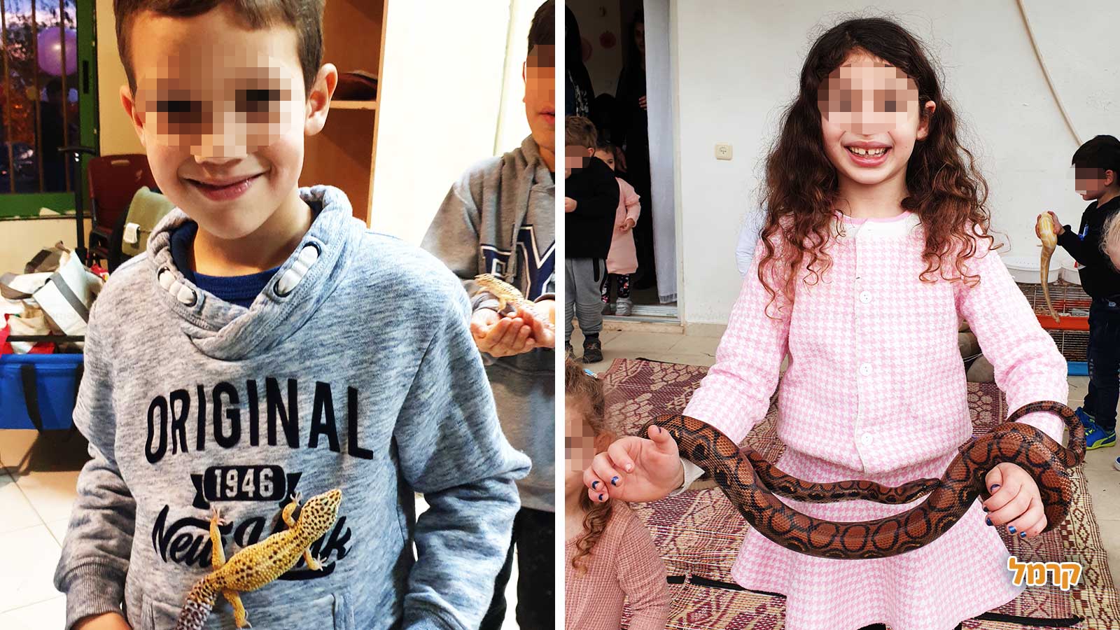 מאיה חיות וכיף - 073-7590510