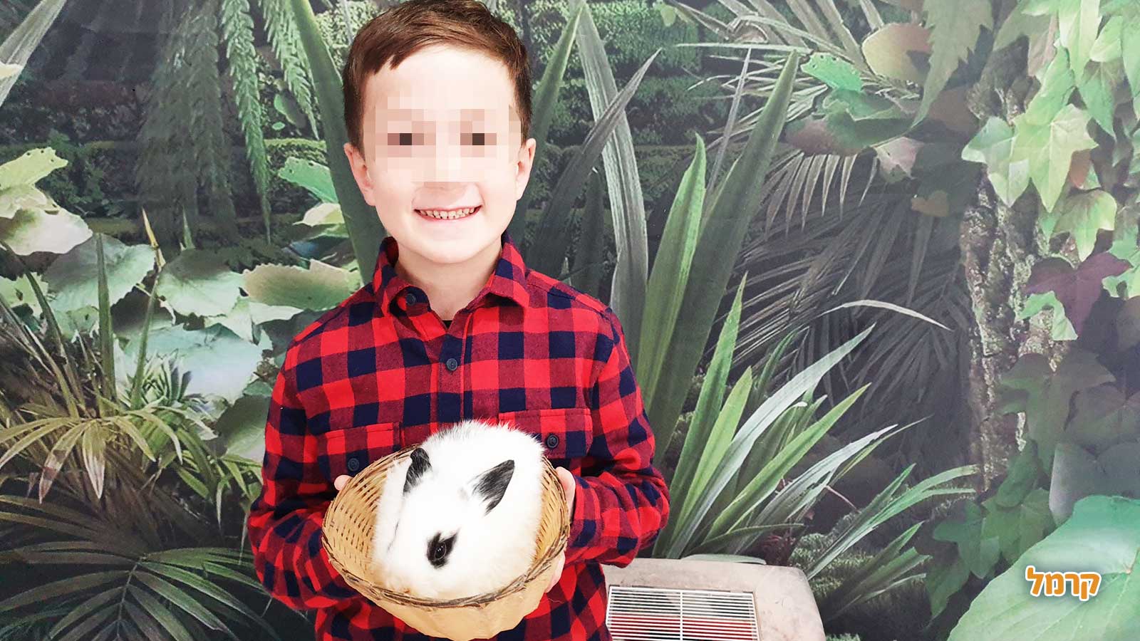 מאיה חיות וכיף - 073-7590510