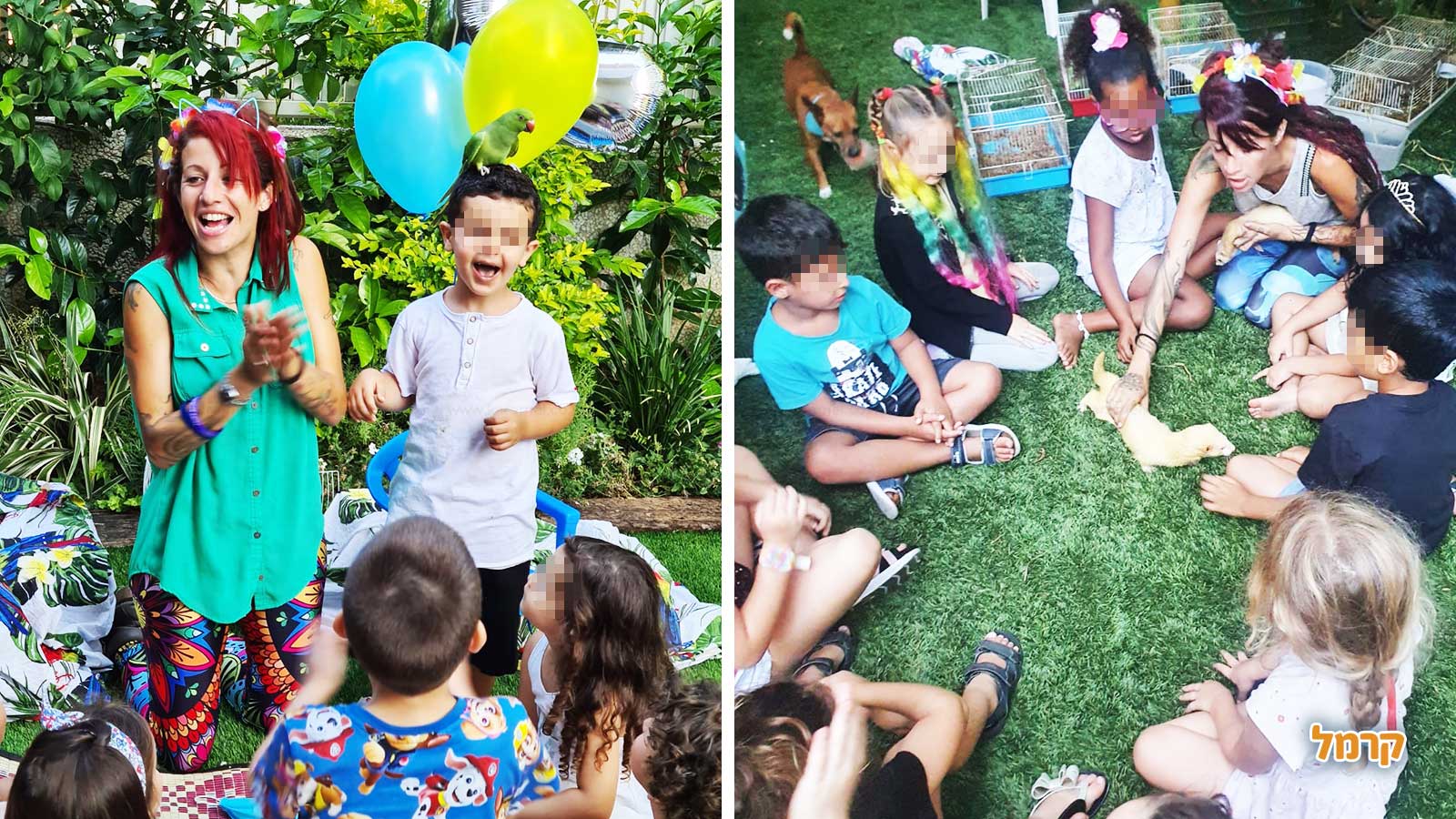 מאיה חיות וכיף - 073-7590510