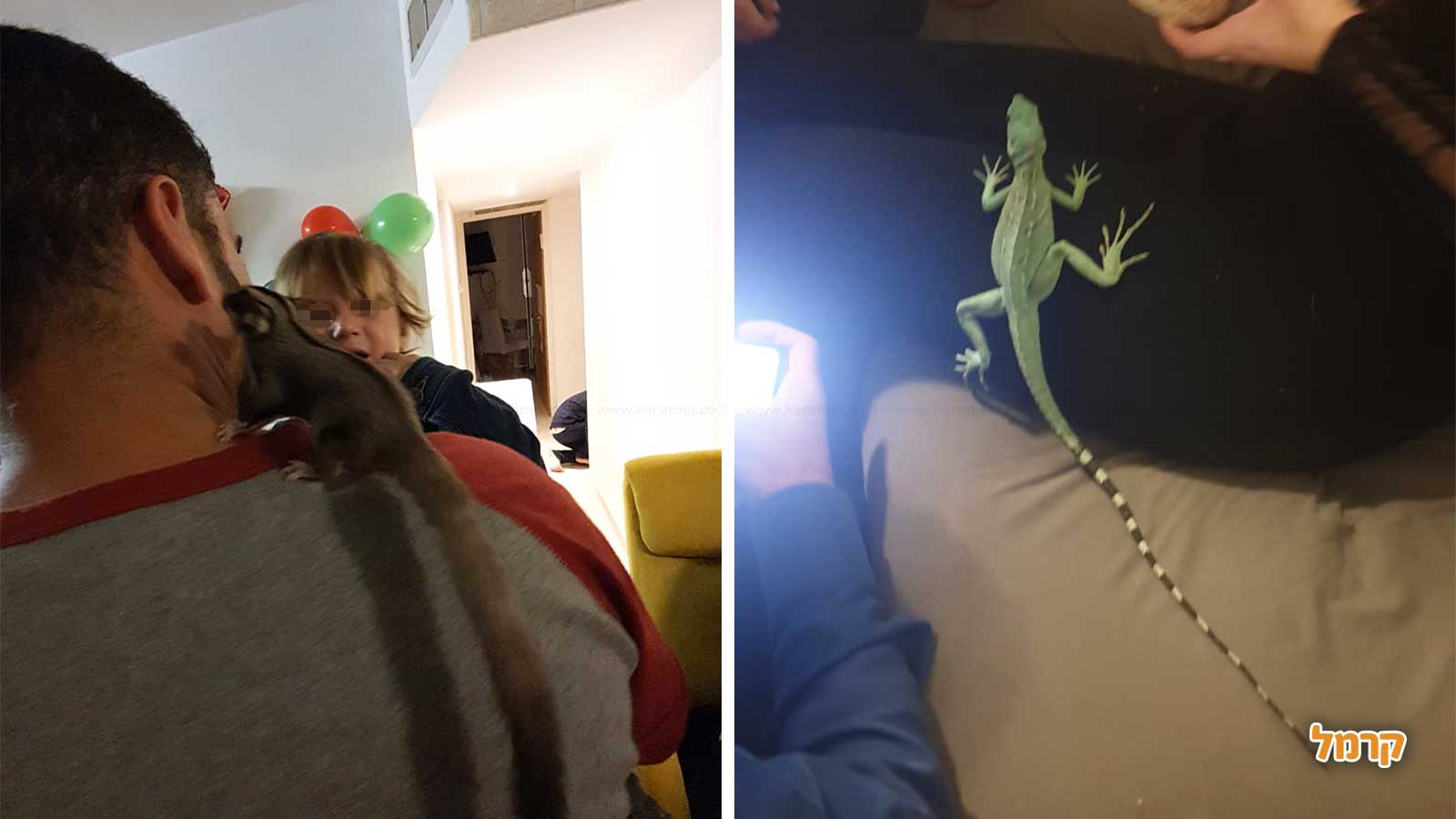 גן החיות שלי - 073-7590774