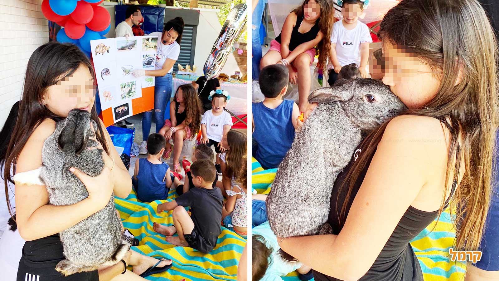 גן החיות שלי - 073-7590774