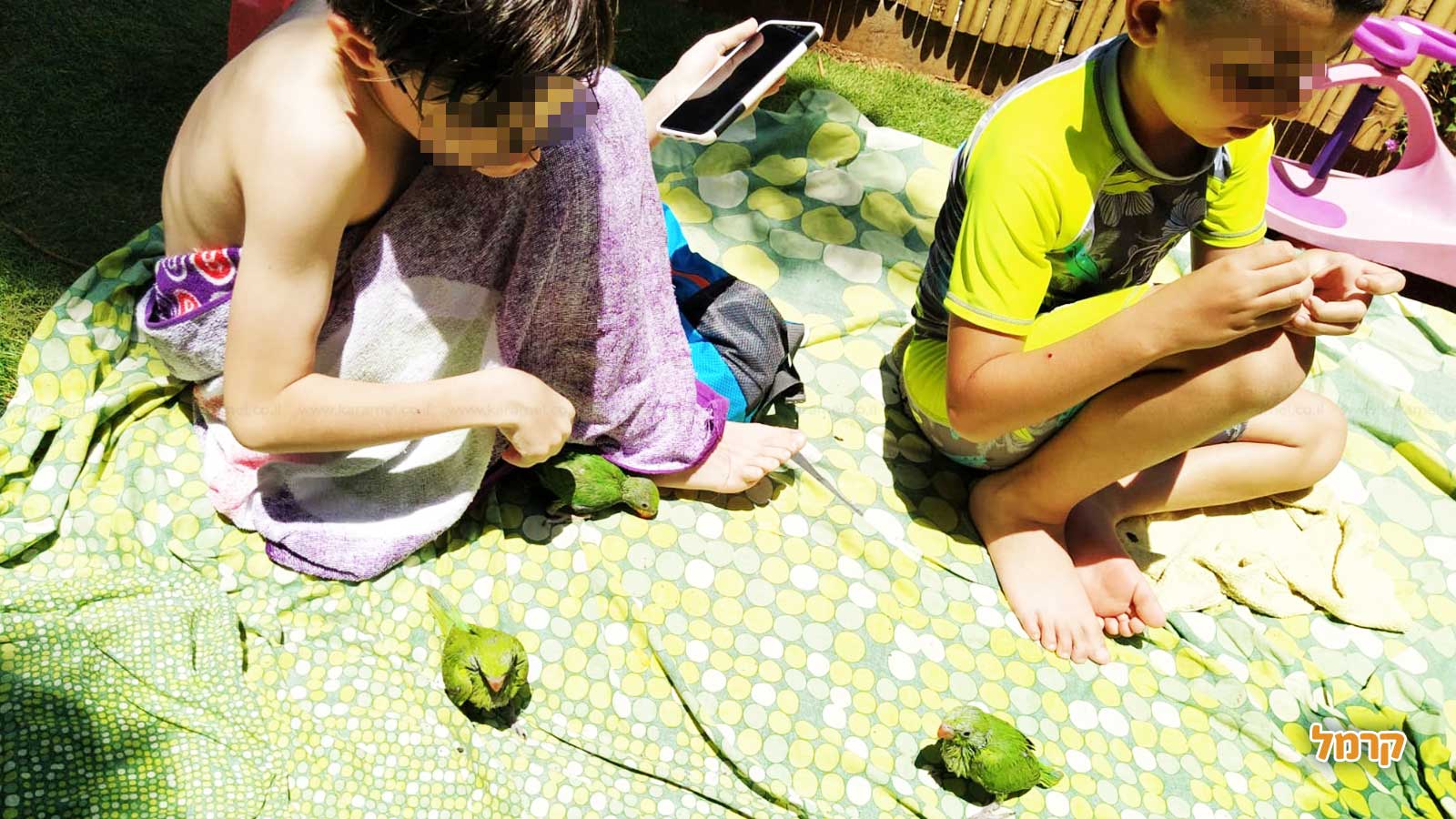 גן החיות שלי - 073-7590774