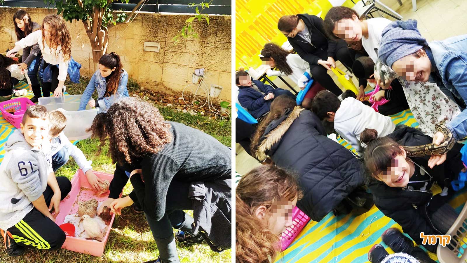 גן החיות שלי - 073-7590774