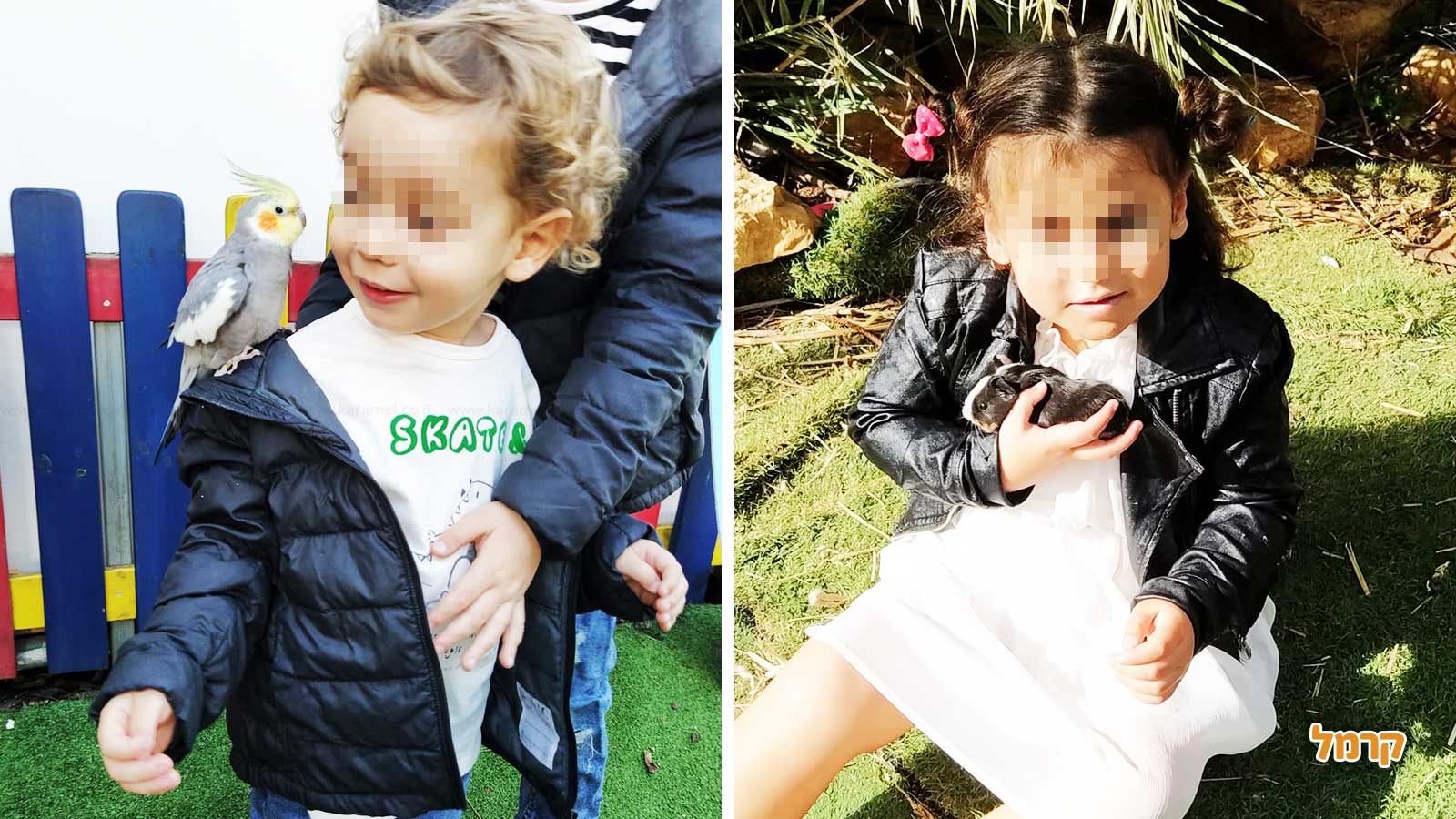 גן החיות שלי - 073-7590774