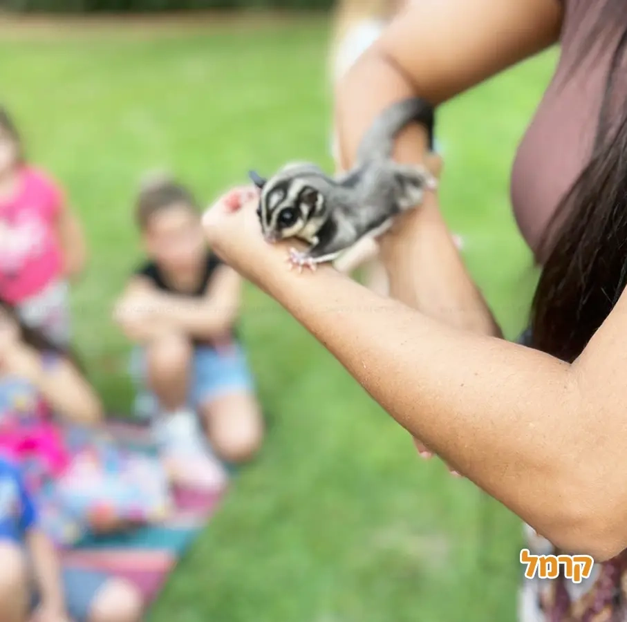 גן החיות שלי - 073-7590774