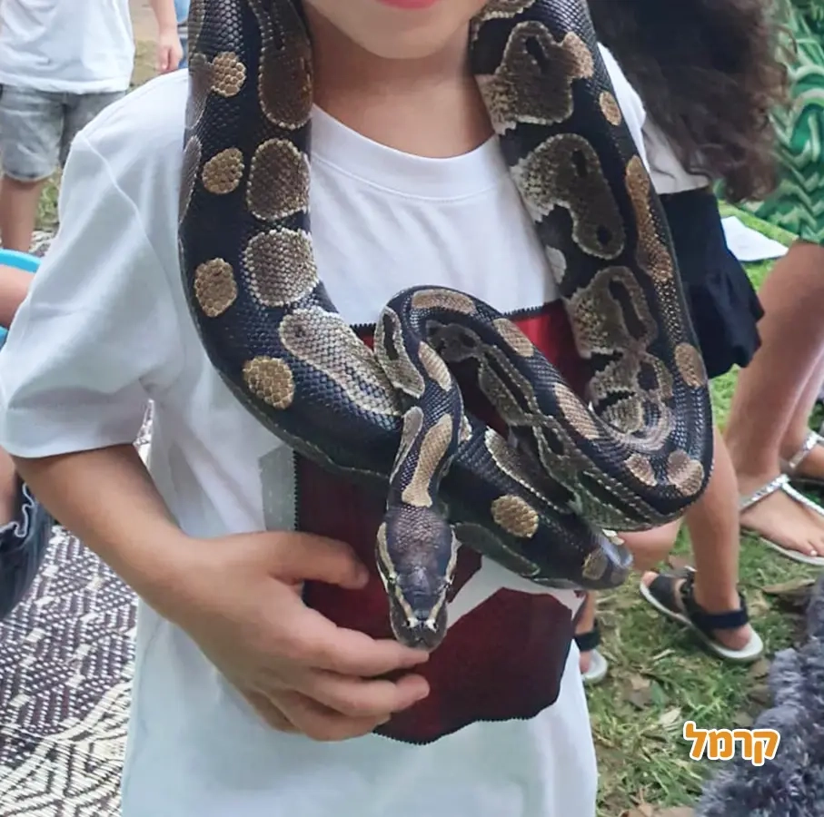 גן החיות שלי - 073-7590774