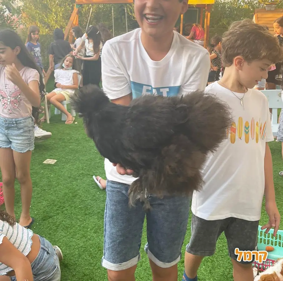 גן החיות שלי - 073-7590774