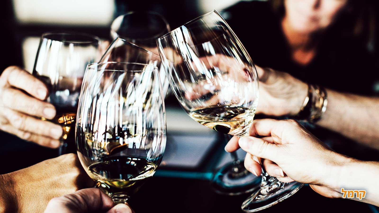 בן עמי סדנאות יין - פשוט להבין יין - 073-7026411