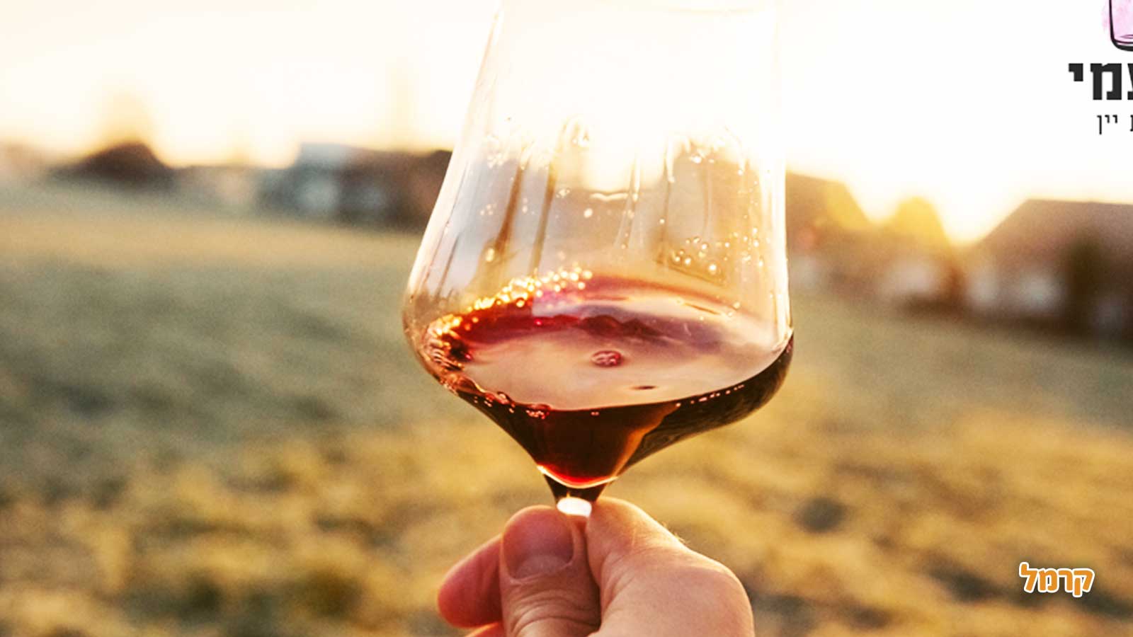 בן עמי סדנאות יין - פשוט להבין יין - 073-7026411