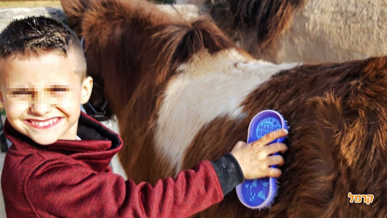 חוויה כיפית עם סוסים - 073-7840208