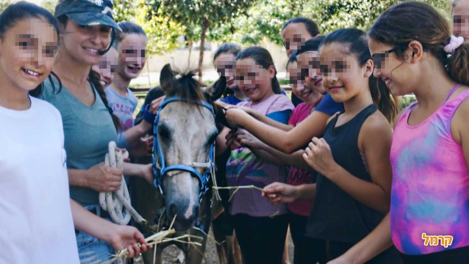 חוויה כיפית עם סוסים - 073-7840208