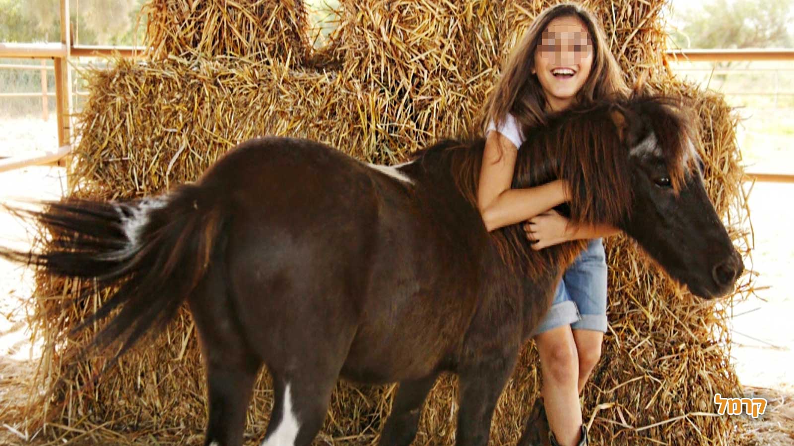 חוויה כיפית עם סוסים - 073-7840208