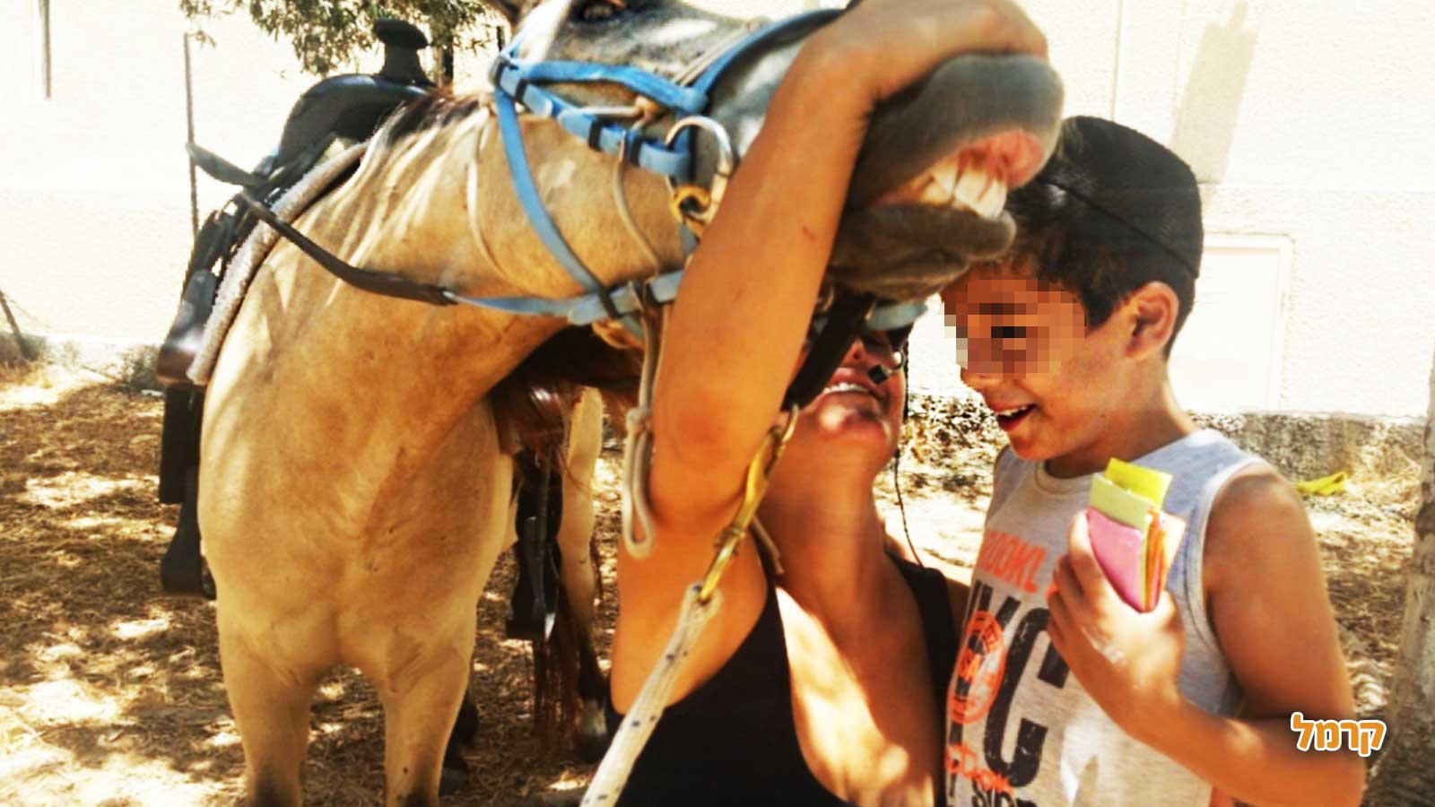חוויה כיפית עם סוסים - 073-7840208