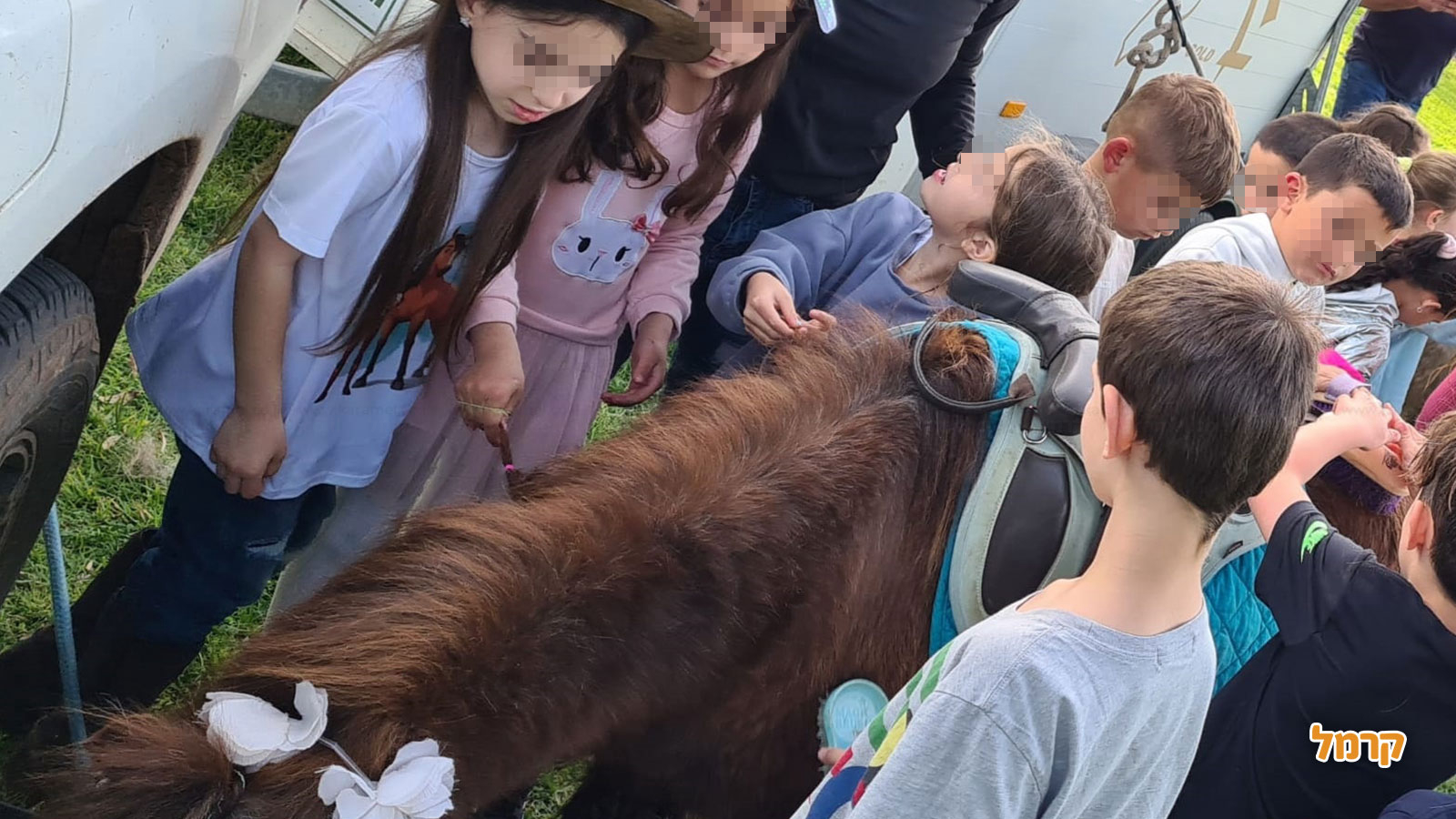 חוויה כיפית עם סוסים - 073-7840208