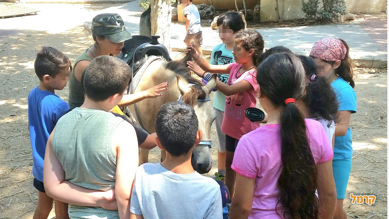 חוויה כיפית עם סוסים - 073-7840208