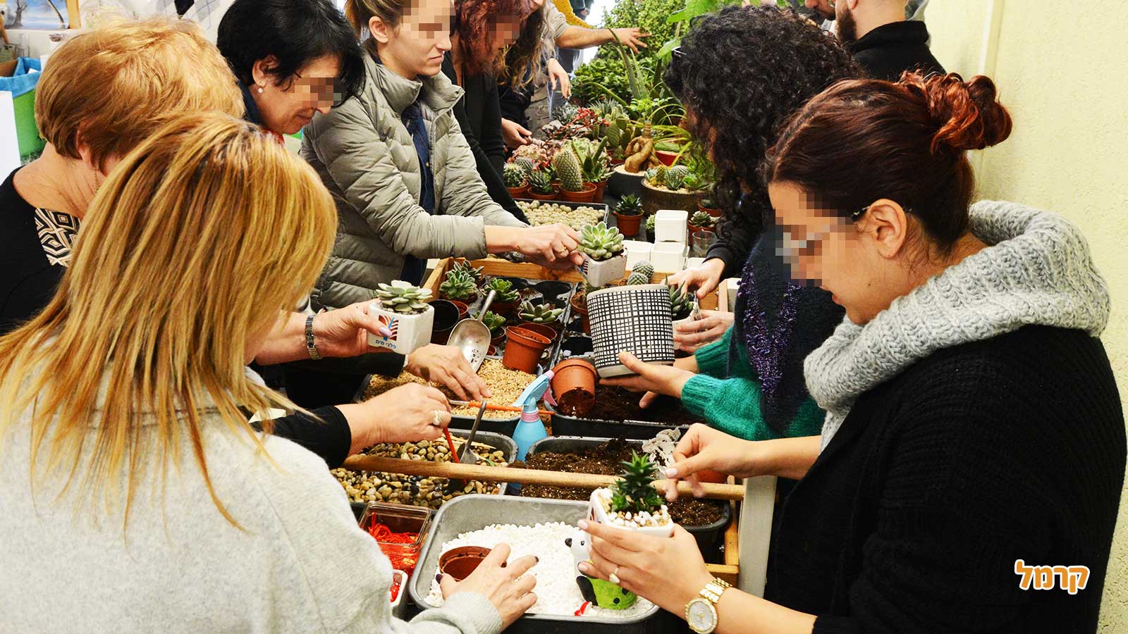 סדנת סוקולנטים, קקטוסים ובונסאי - 073-7026389