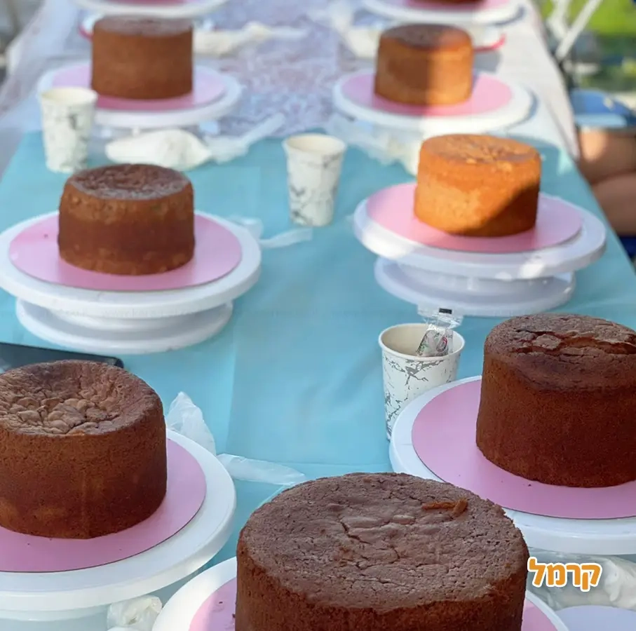 ביס אוף ארט - סדנת זילוף - 073-7026484