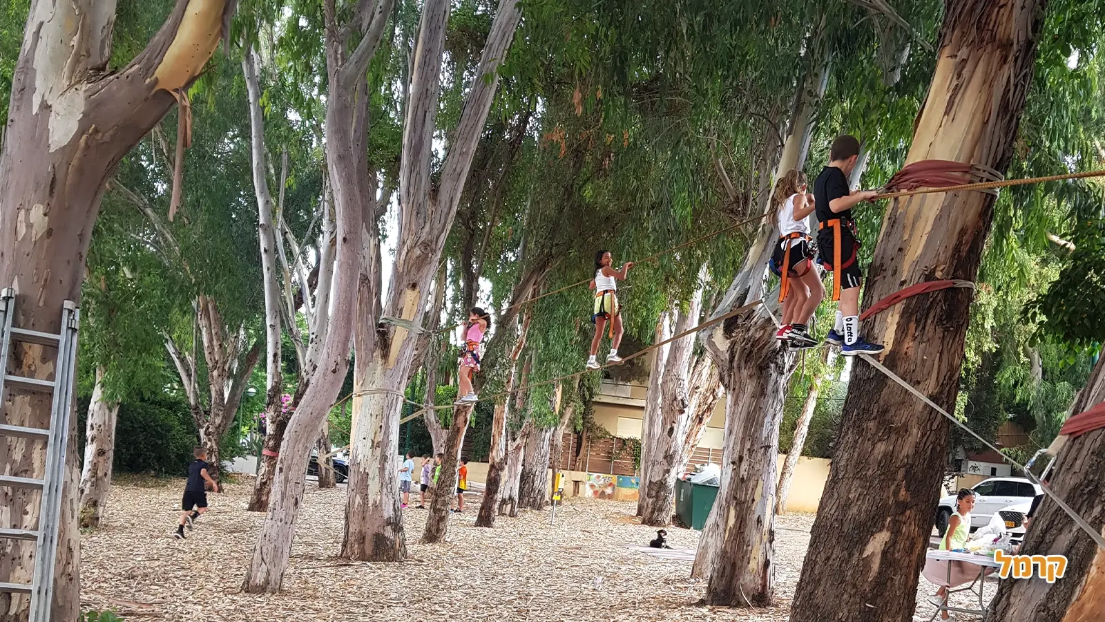 רוברט פעילויות אתגר - 073-7576417