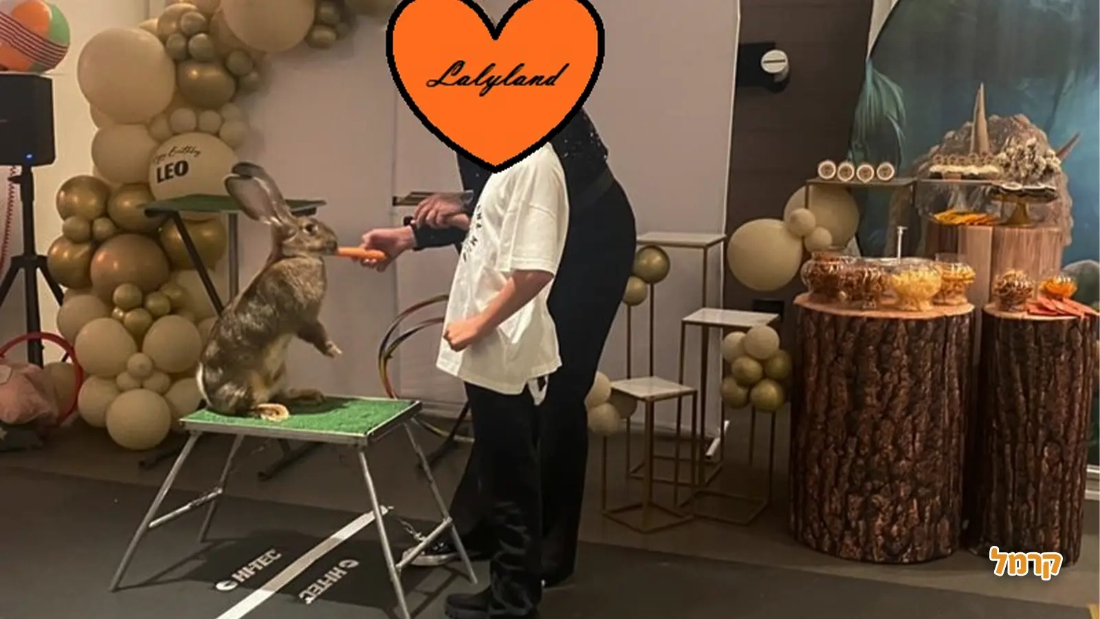 לאלילנד - הכניסה לבנות בלבד - 073-7581950