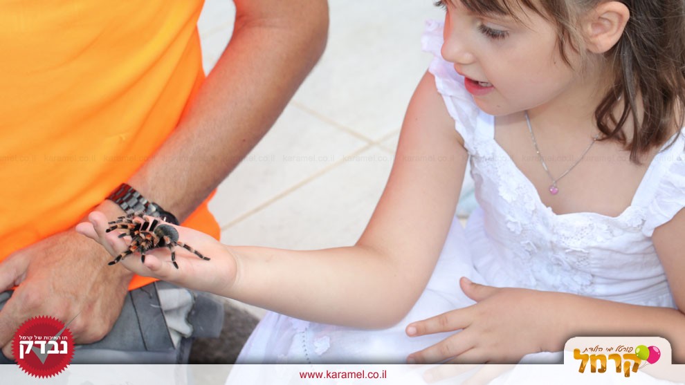 גן החיות של אמיר - 073-7581909