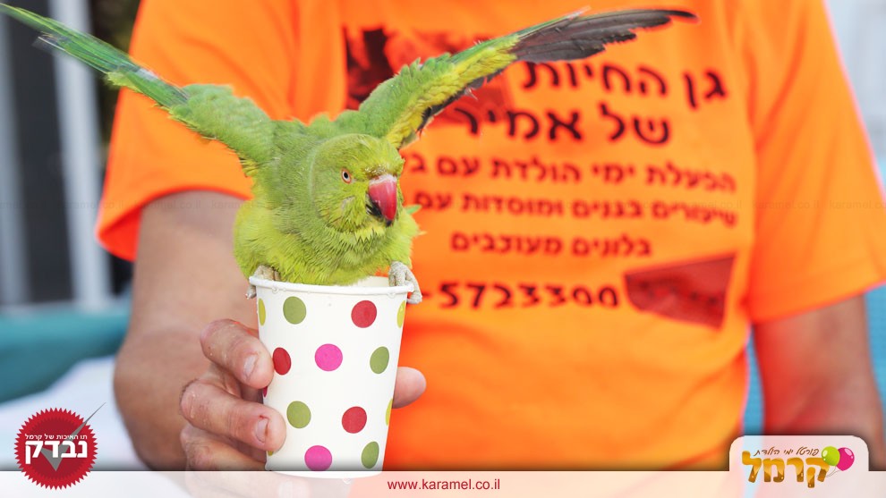 גן החיות של אמיר - 073-7581909