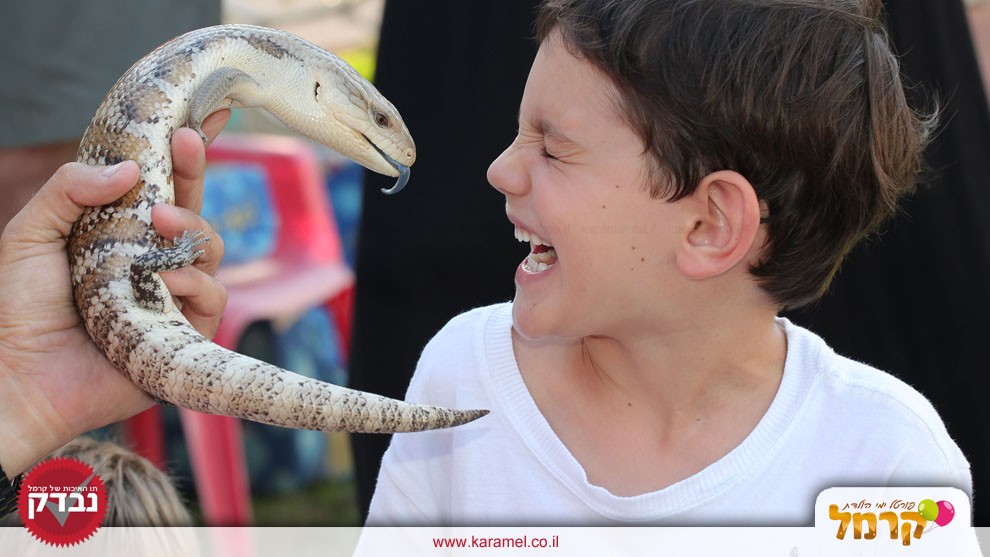 גן החיות של אמיר - 073-7581909