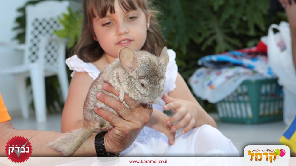 גן החיות של אמיר - 073-7581909