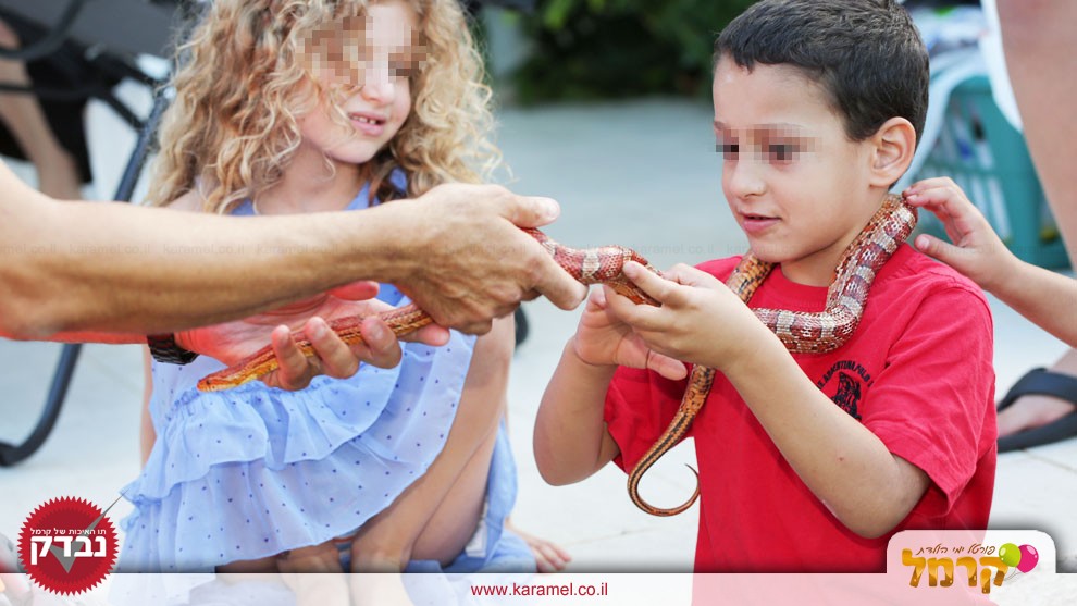 גן החיות של אמיר - 073-7581909
