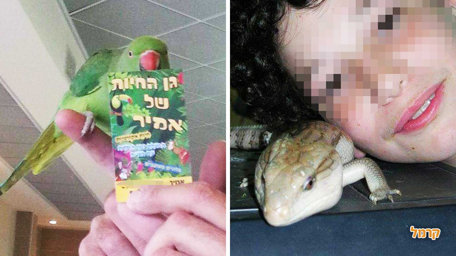 גן החיות של אמיר - 073-7581909