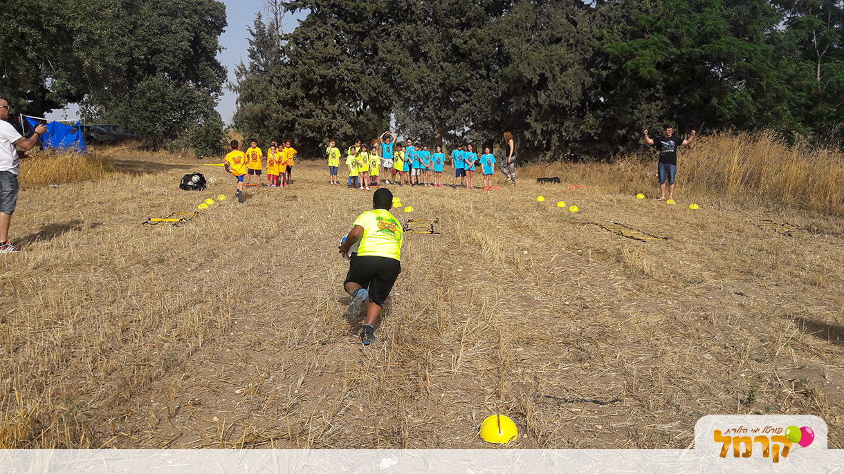 השורדים - 073-7585473
