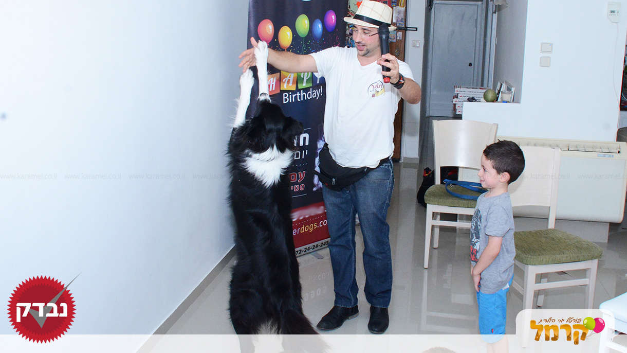 עולם הכלבים של תומר - 073-7585455