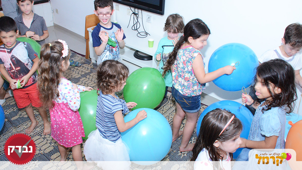 עולם הכלבים של תומר - 073-7585455