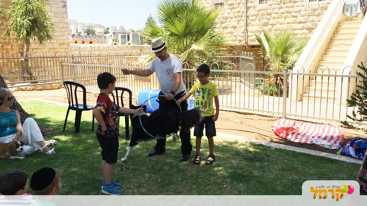 עולם הכלבים של תומר - 073-7585455