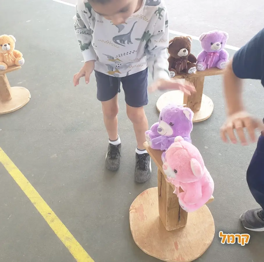 פיגוזיאדה - 073-7585016